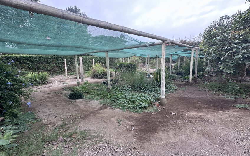 Venta de Casa de Campo en Cieneguilla – Av. Malecón Lurín (Segunda Etapa)