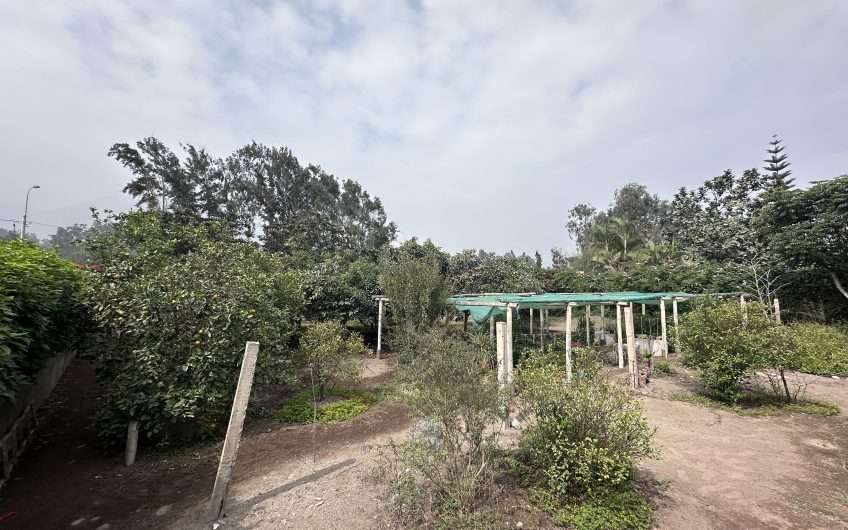 Venta de Casa de Campo en Cieneguilla – Av. Malecón Lurín (Segunda Etapa)
